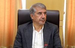  تیم اقتصادی دولت برای مهار نوسانات ارزی دست به کار شود