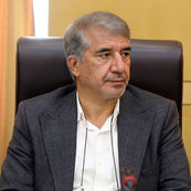  تیم اقتصادی دولت برای مهار نوسانات ارزی دست به کار شود