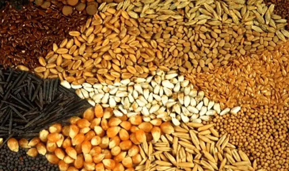 دستورالعمل تأمین ارز واردات نهاده‌های دامی با اوراق گام ابلاغ شد