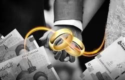 بانک مرکزی در برابر افکار عمومی؛ آیا وام ازدواج عامل ناترازی است؟