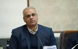 وزارت کار نسخه جدید حمایت از مشاغل خانگی را رونمایی کرد