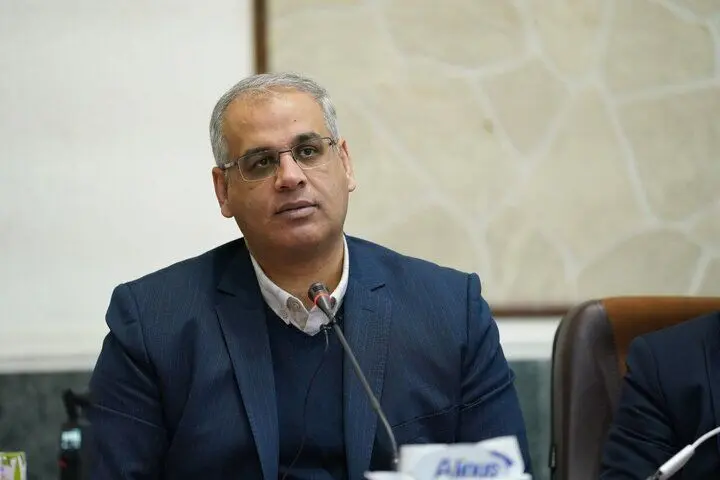 وزارت کار نسخه جدید حمایت از مشاغل خانگی را رونمایی کرد