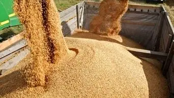 ضرورت استفاده از مسیر شمال برای انتقال ارز نهاده‌های دامی با توجه به محدودیت‌های تنگه هرمز