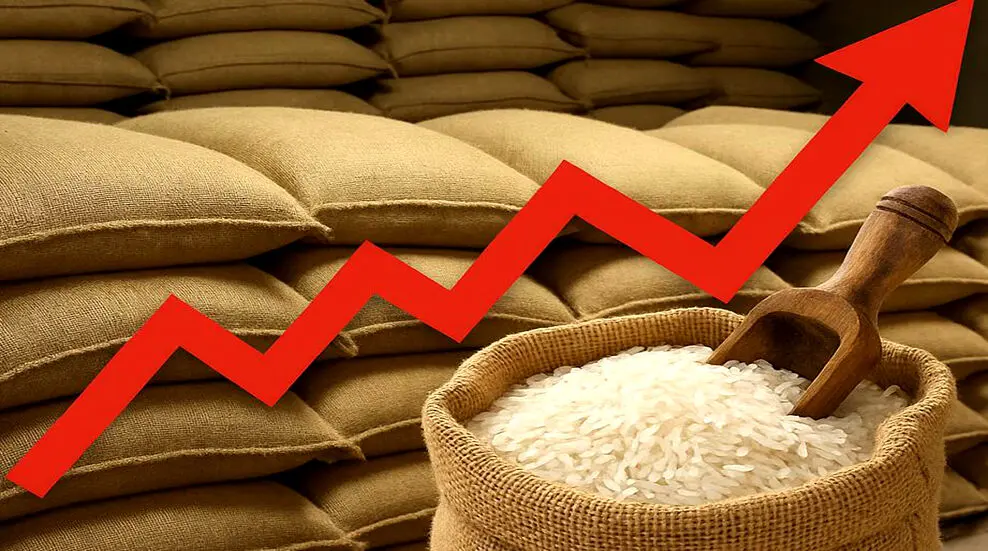 انتقاد مجلسی‌ها از افزایش قیمت برنج/سود دلالان در سایه غفلت وزارت جهاد کشاورزی
