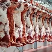 افزایش عرضه گوشت به سفره خانوار نرسید؛ شکاف قیمت دام زنده و گوشت