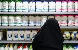 ۵ بار افزایش قیمت شیر خام در یک سال/جهشی معادل ۵۰ سال