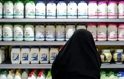 ۵ بار افزایش قیمت شیر خام در یک سال/جهشی معادل ۵۰ سال