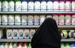 ۵ بار افزایش قیمت شیر خام در یک سال/جهشی معادل ۵۰ سال