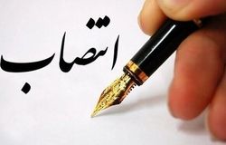صدای رسانه‌ها شنیده شد؛ تغییرات در جهاد کشاورزی/پایان چندصندلی‌نشینی 