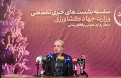 بازار مرغ در آستانه رمضان متعادل می‌شود؛ پرداخت اعتبار خرید نهاده به تولیدکنندگان