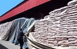 رسوب مرگبار کالاهای اساسی/برنج‌های مشکوک در آستانه ورود به بازار؟