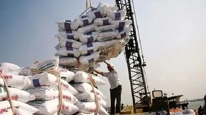 دولت تسهیل واردات را اعلام کرد، اما قیمت برنج بالا رفت/پشت پرده «دوفاکتوره‌فروشی» و احتکار در بازار