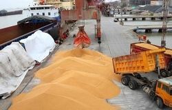 کشتی‌های شبح و رانت میلیاردی/ وقتی ارز ترجیحی به جیب واردکنندگان متخلف می‌رود