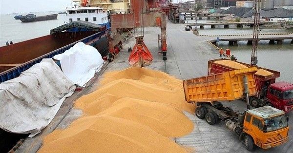 کشتیهای شبح و رانت میلیاردی/ وقتی ارز ترجیحی به جیب واردکنندگان متخلف میرود