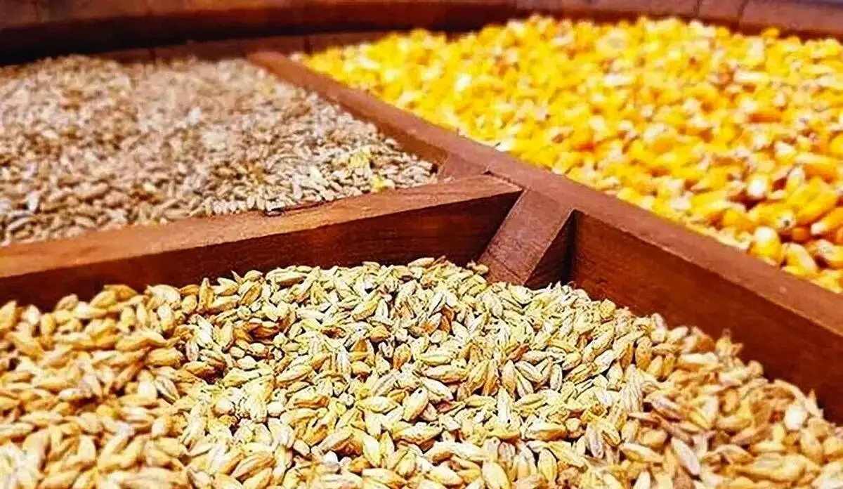 سامانه بازارگاه به «دلال‌گاه» تبدیل شد/خالی‌فروشی و خلأ قانونی عامل شکست سیستم