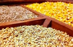 سامانه بازارگاه به «دلال‌گاه» تبدیل شد/خالی‌فروشی و خلأ قانونی عامل شکست سیستم