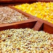 سامانه بازارگاه به «دلال‌گاه» تبدیل شد/خالی‌فروشی و خلأ قانونی عامل شکست سیستم