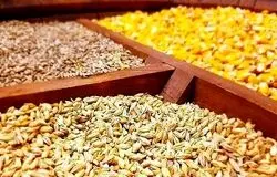 سامانه بازارگاه به «دلال‌گاه» تبدیل شد/خالی‌فروشی و خلأ قانونی عامل شکست سیستم