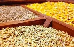 سامانه بازارگاه به «دلال‌گاه» تبدیل شد/خالی‌فروشی و خلأ قانونی عامل شکست سیستم