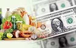 ۸ تا ۱۰ میلیارد دلار ارز کالای اساسی کجا هزینه شد؟