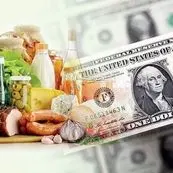 دولت باید پاسخ دهد ۸ تا ۱۰ میلیارد دلار ارز کالای اساسی کجا هزینه شد؟