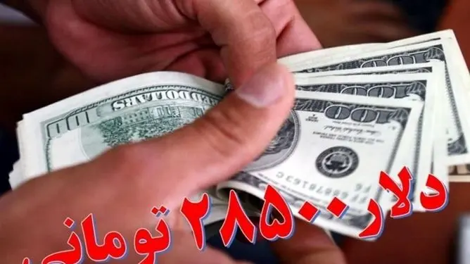 هشدار درباره حذف ارز ترجیحی/سناریویی که فنر دلار را رها می‌کند