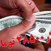 هشدار درباره حذف ارز ترجیحی/سناریویی که فنر دلار را رها می‌کند