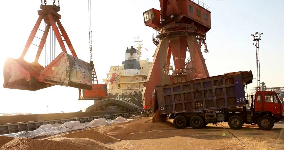 ابلاغ ضوابط جدید واردات و توزیع نهاده‌های دامی از ابتدای آذر ۱۴۰۴