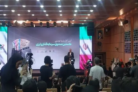 خروج بیش از ۲۰ درصد پس‌اندازها از چرخه اقتصاد؛ برنامه دولت برای بازگرداندن سرمایه‌ها