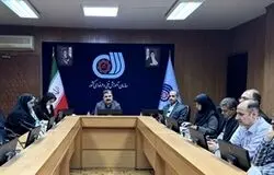 تأکید بر ساماندهی نیروهای مهارتی برای مدیریت بحران در نشست پویش امداد ایران ماهر