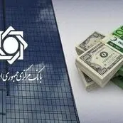 هشدار بانک مرکزی به واردکنندگان؛ مابه‌التفاوت نرخ ارز به تعزیرات می‌رود