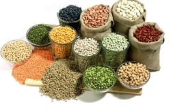 خشکسالی و آفت، مقصر گرانی حبوبات / وعده کاهش قیمت‌ها با آغاز فصل برداشت