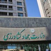 آشفته‌بازار نهاده‌های دامی نتیجه ضعف رگولاتوری وزارت جهاد است