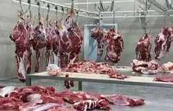 تسهیل واردات کالاهای اساسی؛ واردات گوشت با «قبض انباری» انجام می‌شود