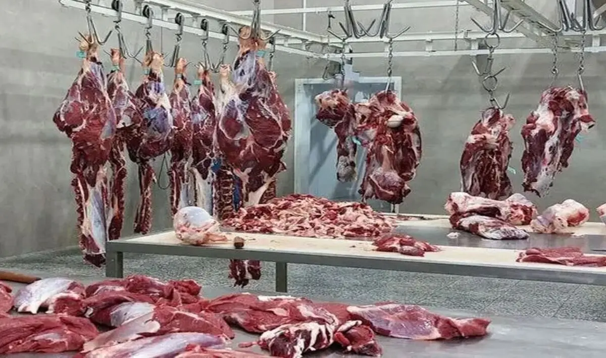 تسهیل واردات کالاهای اساسی؛ واردات گوشت با «قبض انباری» انجام می‌شود