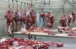 تسهیل واردات کالاهای اساسی؛ واردات گوشت با «قبض انباری» انجام می‌شود