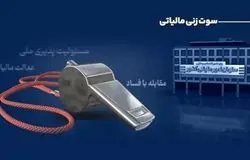 کشف فرار مالیاتی با مشارکت مردمی؛ ۵ نفر ۲۹۱ میلیون تومان پاداش گرفتند