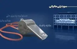 کشف فرار مالیاتی با مشارکت مردمی؛ ۵ نفر ۲۹۱ میلیون تومان پاداش گرفتند