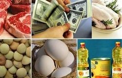 تورم کالاهای اساسی از سایر کالاها سبقت گرفت/ضعف در تنطیم بازار 