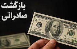 مجلس: اسامی بدهکاران ارزی در صورت عدم بازگشت ارز علنی می‌شود