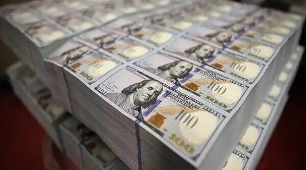 تأمین بیش از ۳۱ میلیارد دلار ارز برای واردات کالا، دارو و خدمات از ابتدای سال