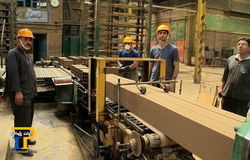 خروج افغان‌ها و چالش بازار کار/ پیشنهاد اصناف به کارفرمایان برای جذب نیروی ایرانی