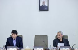 جلسه هیئت دولت برگزار شد/اولین حضور مدنی‌زاده در دولت