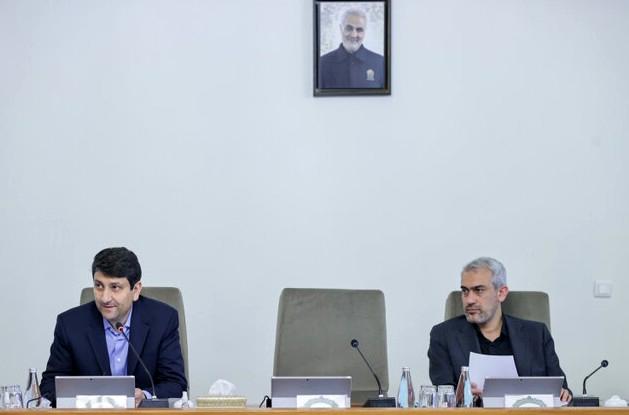 جلسه هیئت دولت برگزار شد/اولین حضور مدنیزاده در دولت