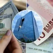  فعال‌سازی SMEها، اولویت اصلی؛ ضرورت نظارت دقیق بر بازار ارز و اسکناس درشت