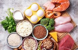 بلدرچین، ماهی و میگو به طرح کالابرگ الکترونیک اضافه شد