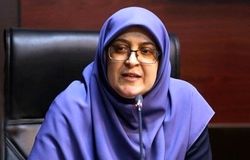 سیاست تخصیص ارز ترجیحی به کالاهای اساسی ادامه دارد