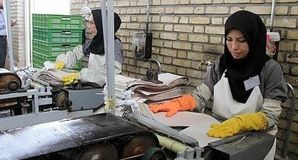 مهارت، مهم‌ترین مؤلفه اشتغال/ آموزش‌های مهارتی عامل کلیدی در تأمین نیروی ماهر 