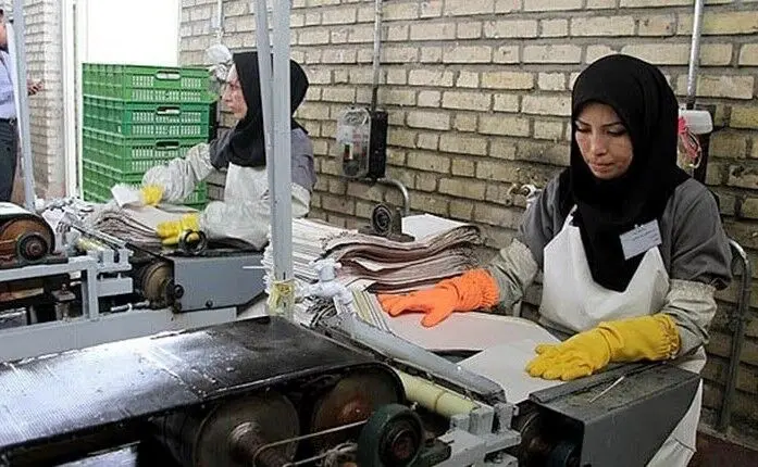 مهارت، مهم‌ترین مؤلفه اشتغال/ آموزش‌های مهارتی عامل کلیدی در تأمین نیروی ماهر 