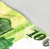 شورای نگهبان حذف ۴ صفر از پول ملی را  تأیید کرد